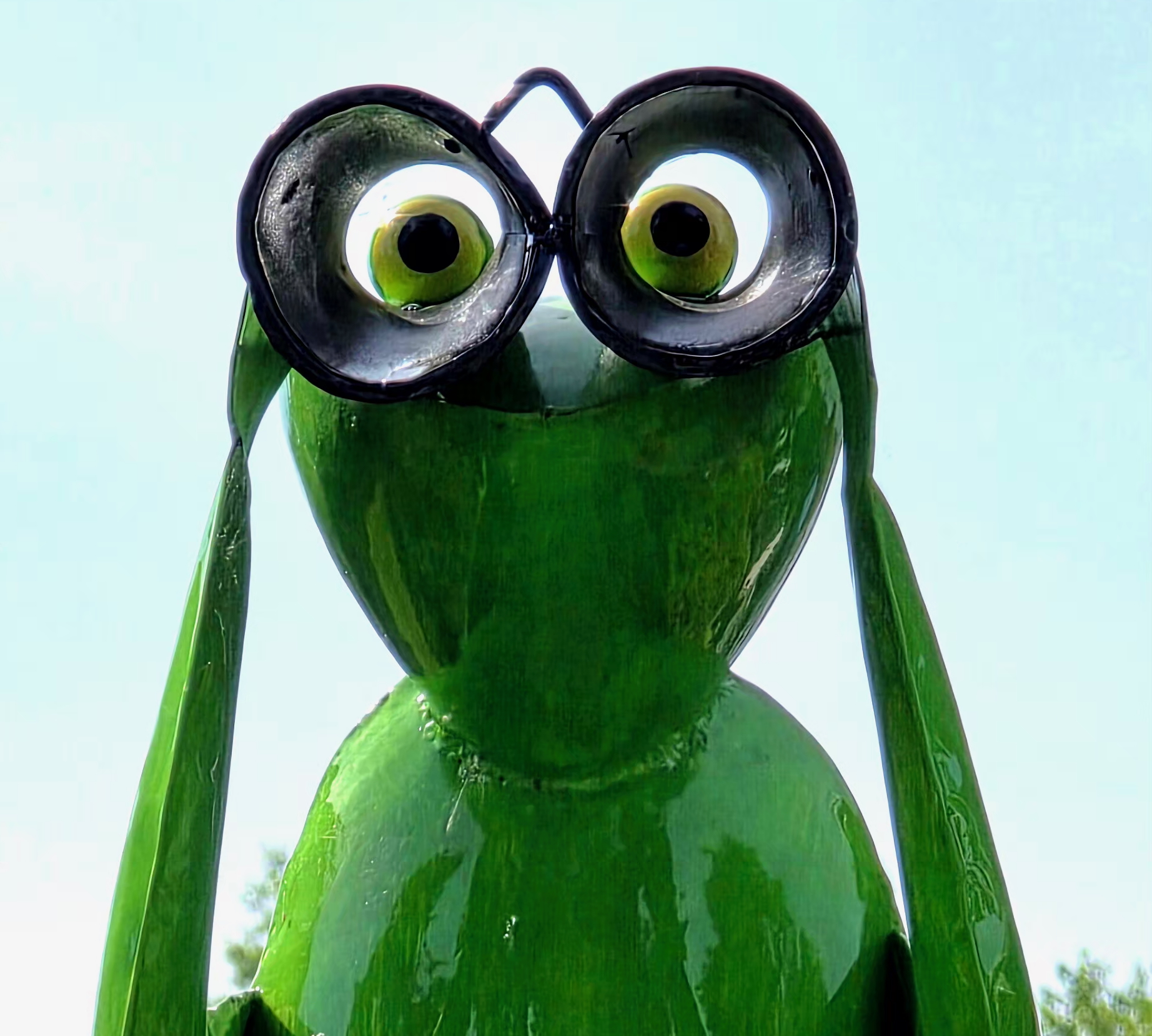 Frosch mit Fernglas
